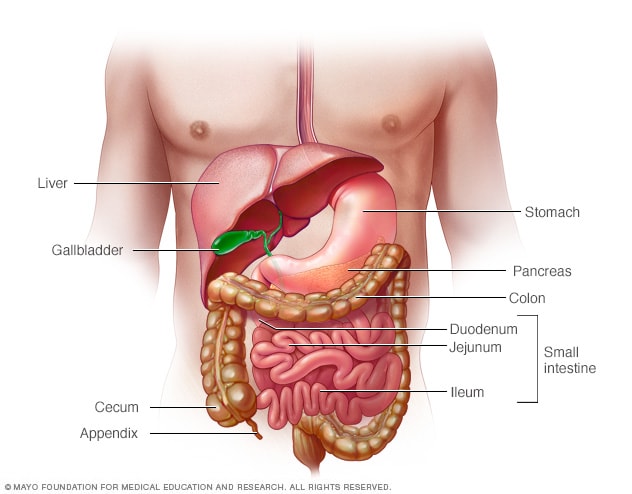 Crohn's disease - Symptoms and causes - Mayo Clinic