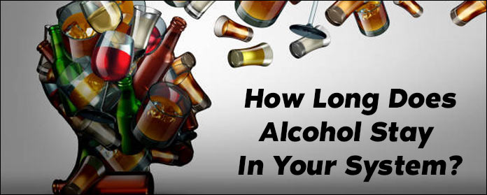 How Long Does Alcohol Stay in Your System?